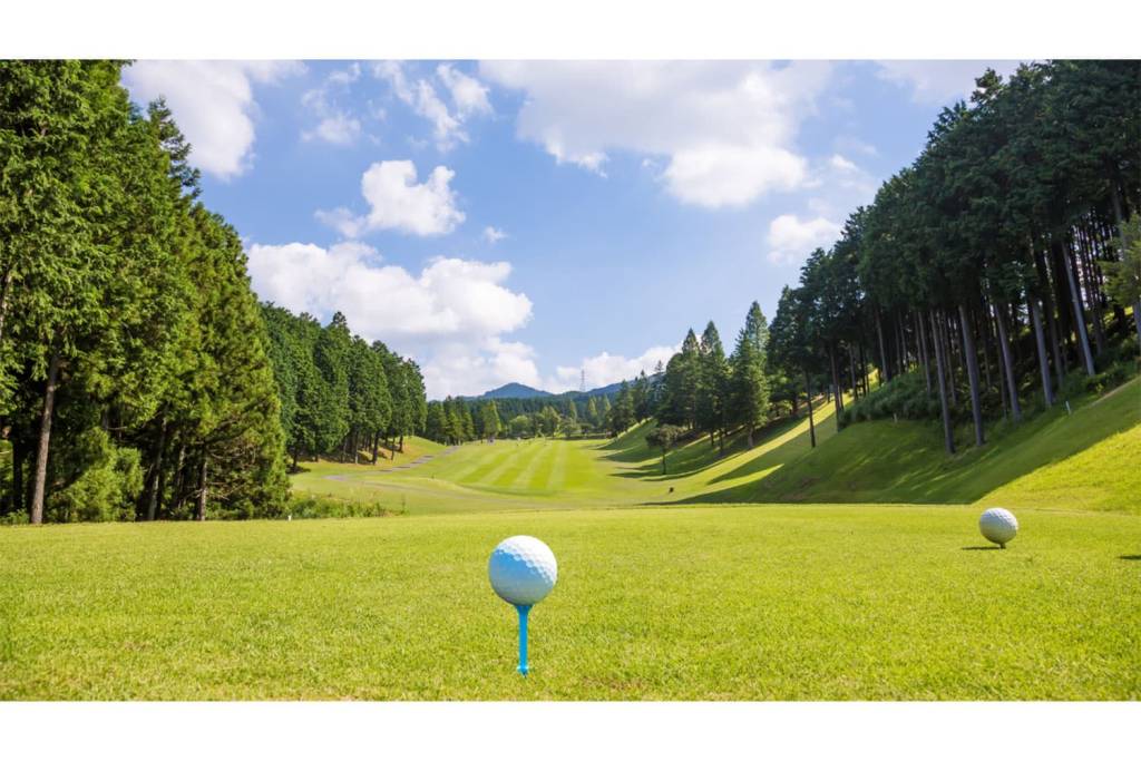 Golf Course được phân thành 3 loại dựa trên quyền hạn tham gia 
